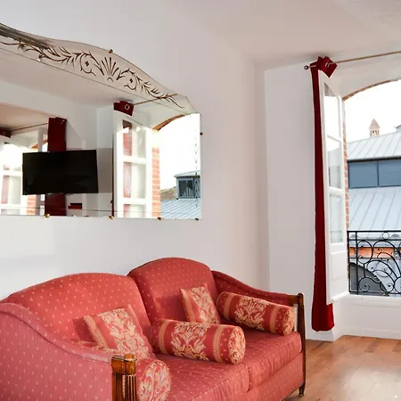 L'enfant De Boheme D'albi - Centre Unesco - 200m Cathedrale - Parking - Animaux Acceptes * Альби