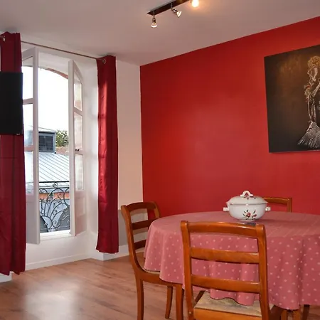 L'enfant De Boheme D'albi - Centre Unesco - 200m Cathedrale - Parking - Animaux Acceptes *