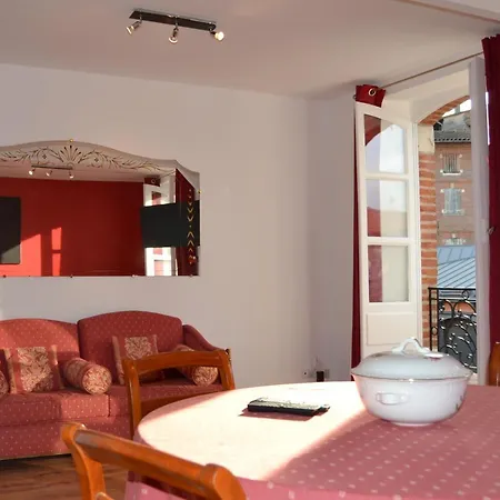 L'enfant De Boheme D'albi - Centre Unesco - 200m Cathedrale - Parking - Animaux Acceptes Альби