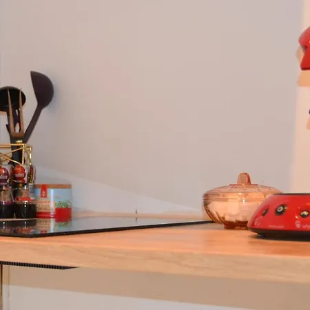 L'enfant De Boheme D'albi - Centre Unesco - 200m Cathedrale - Parking - Animaux Acceptes Апартаменты *