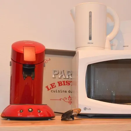 L'enfant De Boheme D'albi - Centre Unesco - 200m Cathedrale - Parking - Animaux Acceptes * Альби