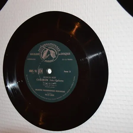 L'enfant De Boheme D'albi - Centre Unesco - 200m Cathedrale - Parking - Animaux Acceptes Альби