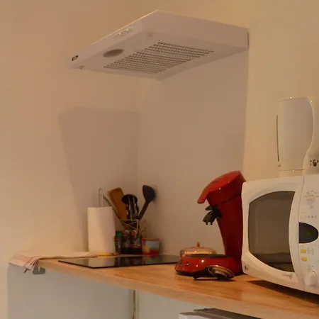 L'enfant De Boheme D'albi - Centre Unesco - 200m Cathedrale - Parking - Animaux Acceptes Апартаменты *