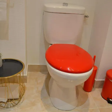 Апартаменты L'enfant De Boheme D'albi - Centre Unesco - 200m Cathedrale - Parking - Animaux Acceptes Альби