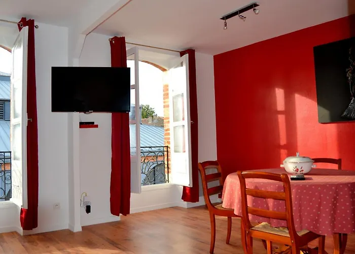 Apartman L'enfant De Boheme D'albi - Centre Unesco - 200m Cathedrale - Parking - Animaux Acceptes