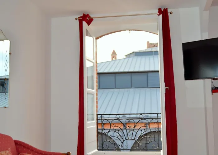 L'enfant De Boheme D'albi - Centre Unesco - 200m Cathedrale - Parking - Animaux Acceptes Apartman