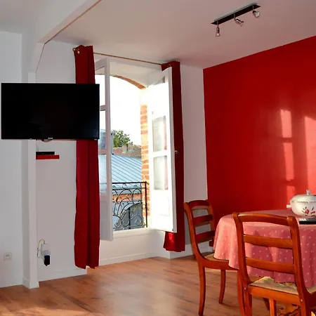 Apartment L'enfant De Boheme D'albi - Centre Unesco - 200m Cathedrale - Parking - Animaux Acceptes