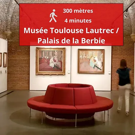 L'enfant De Boheme D'albi - Centre Unesco - 200m Cathedrale - Parking - Animaux Acceptes アパート