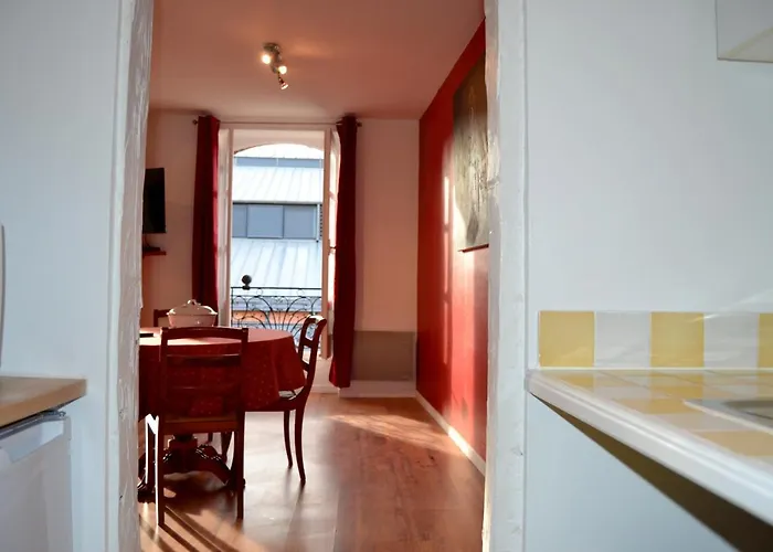 L'enfant De Boheme D'albi - Centre Unesco - 200m Cathedrale - Parking - Animaux Acceptes アルビ