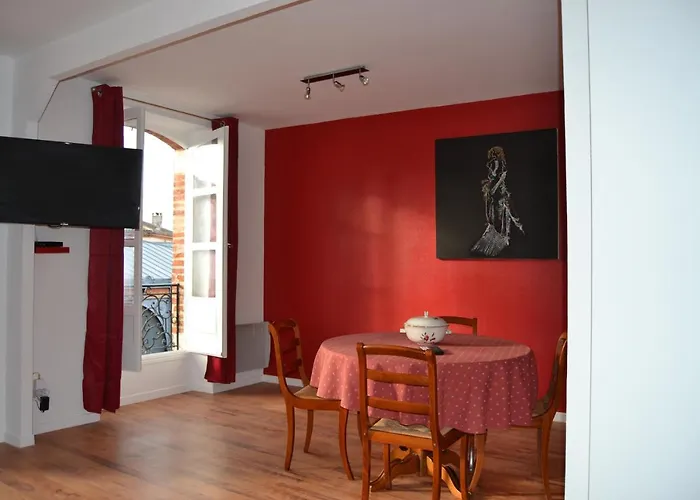 Διαμέρισμα L'enfant De Boheme D'albi - Centre Unesco - 200m Cathedrale - Parking - Animaux Acceptes